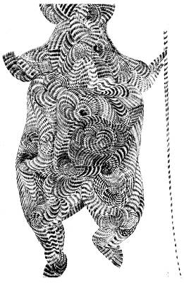 如何將視錯(cuò)覺運(yùn)用到UI設(shè)計(jì)界面中？