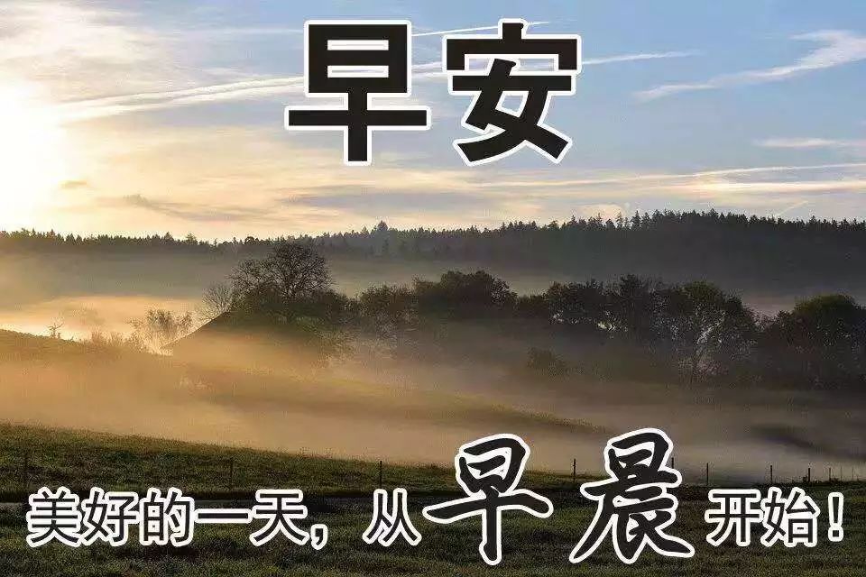 支付寶撒幣15億引發(fā)全民“薅羊毛”，民間文案真是哈哈哈哈哈